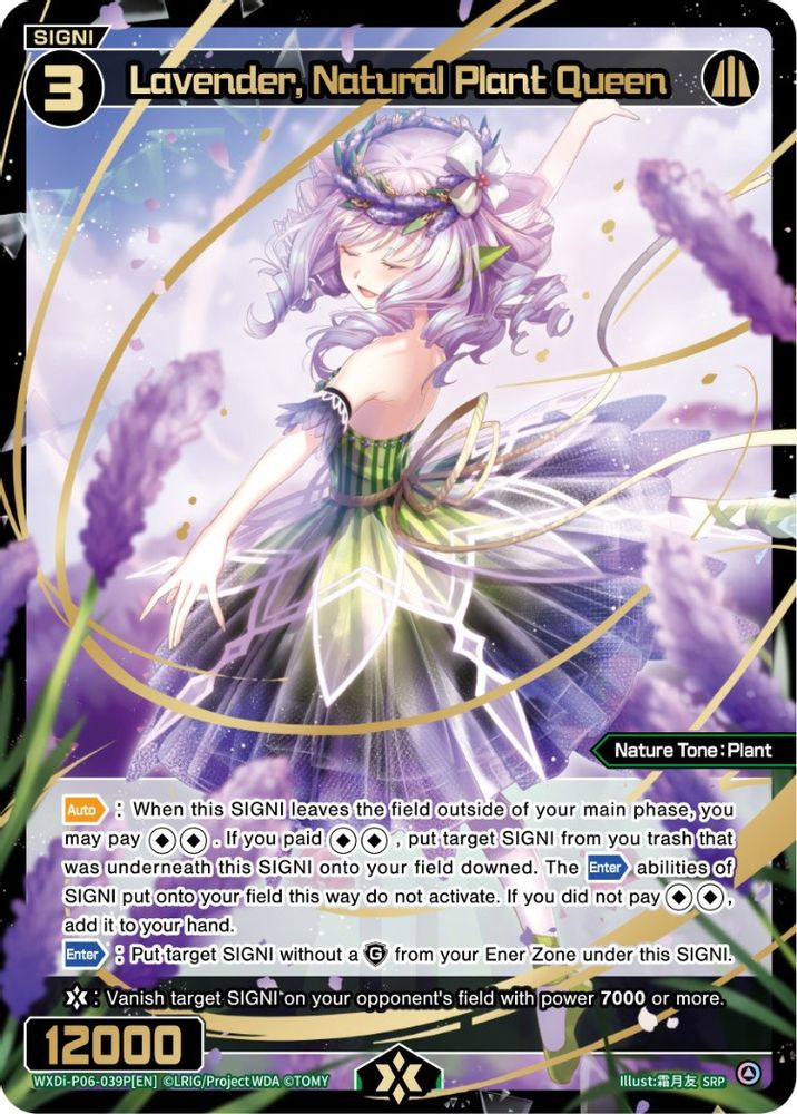 Lavender, Natural Plant Queen (SRP), Standard, front