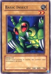 Basic Insect