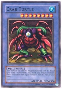 Crab Turtle