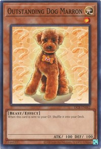 Outstanding Dog Marron
