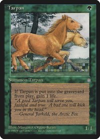 Tarpan, Ice Age