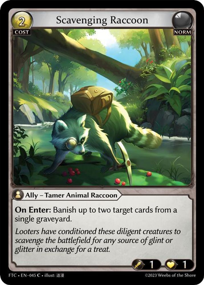 Scavenging Raccoon, Standard, front