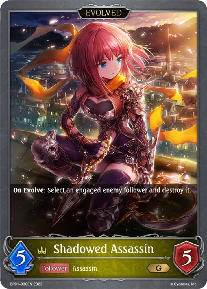 Shadowed Assassin (Evolved), Standard, front