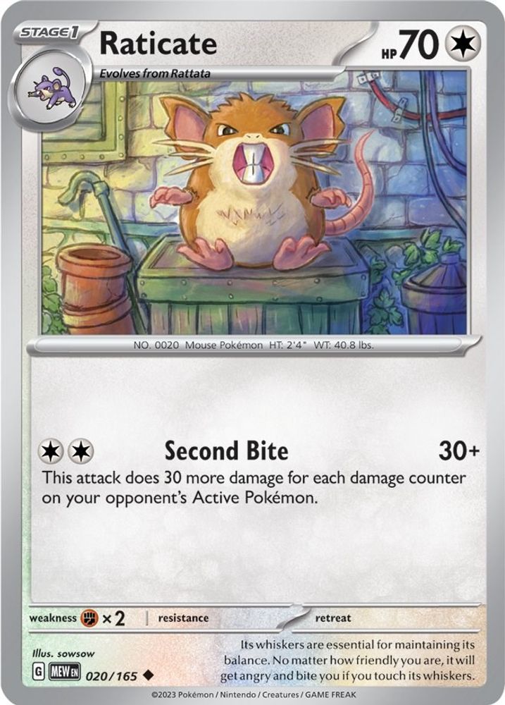 Raticate