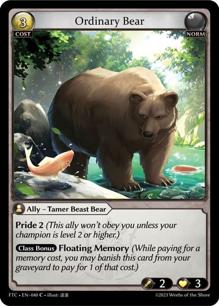 Ordinary Bear, Standard, front