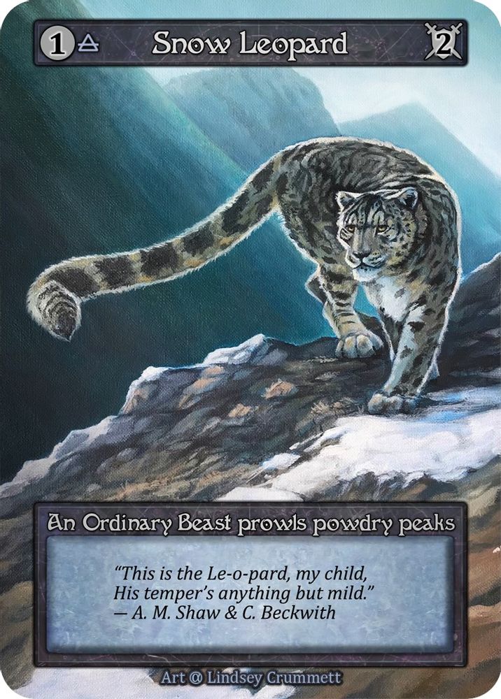 Snow Leopard, Standard, front