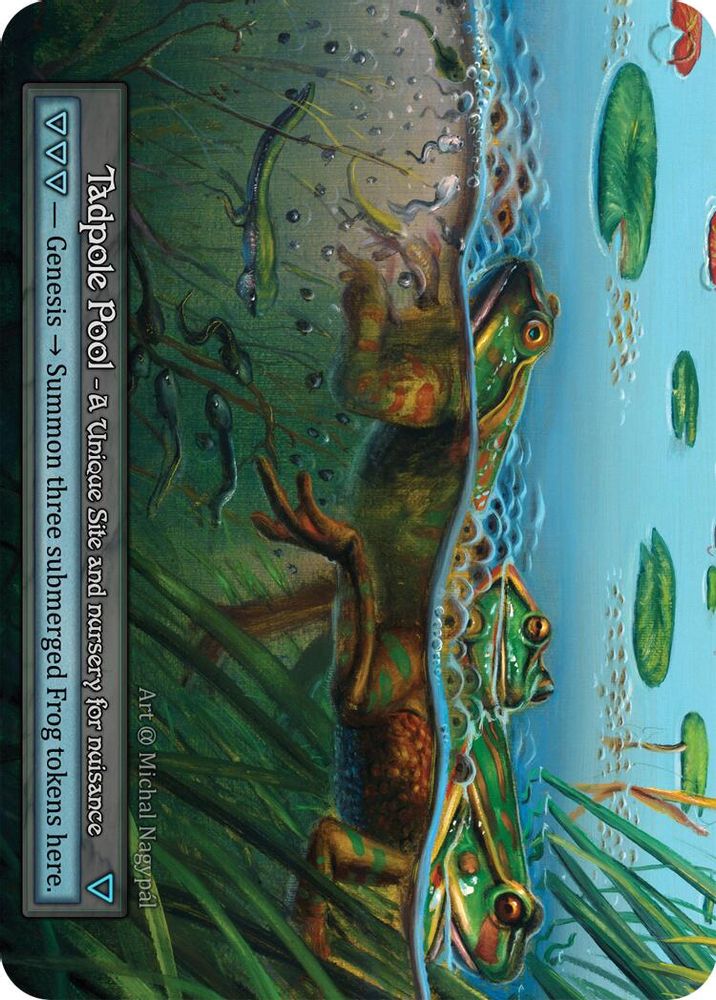 Tadpole Pool, Standard, front