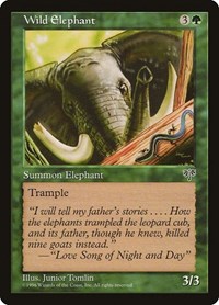 Wild Elephant, Mirage