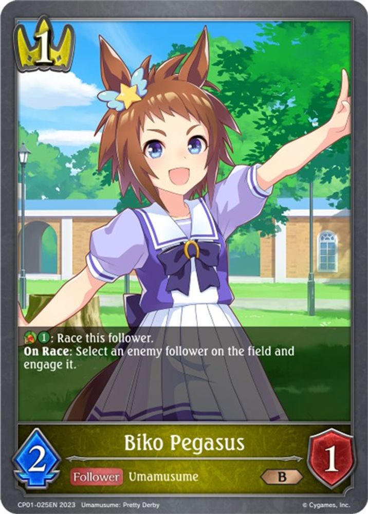 Biko Pegasus, Standard, front