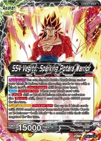 SS4 Son Goku & SS4 Vegeta // SS4 Vegito, Sparking Potara Warrior
