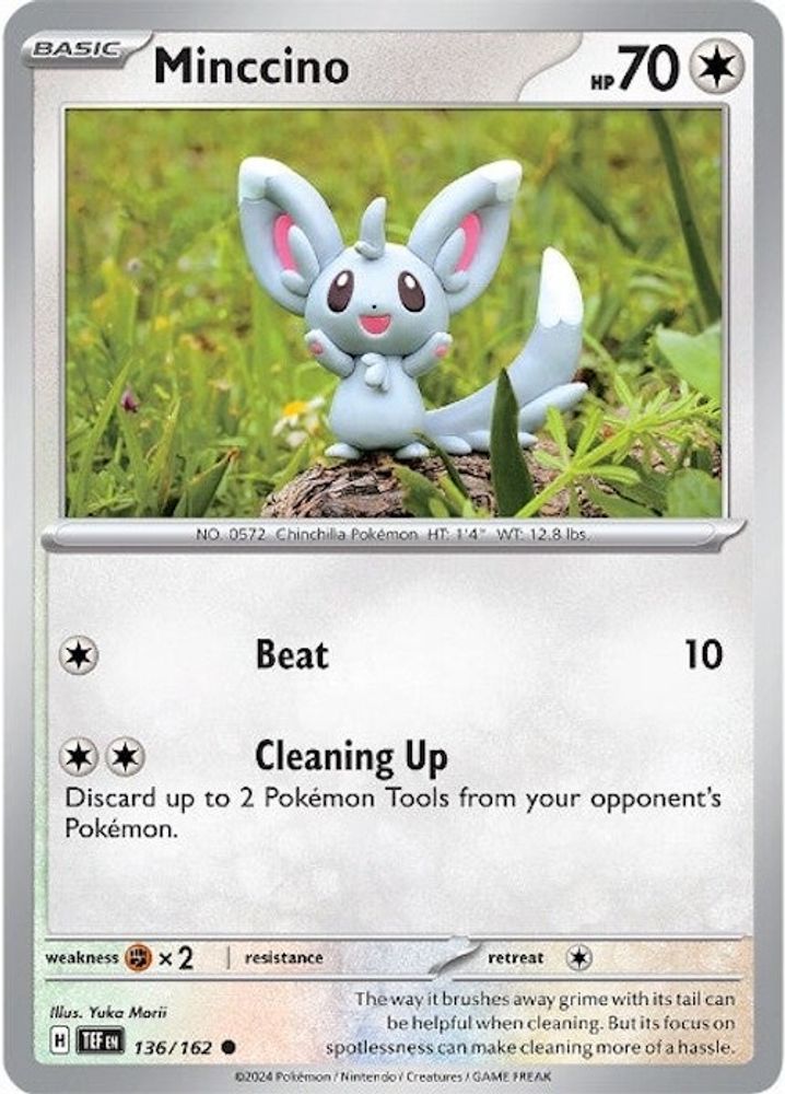 Minccino