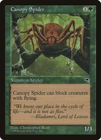 Canopy Spider, Tempest