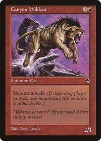 Canyon Wildcat, Tempest