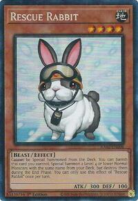 Rescue Rabbit (PCR)