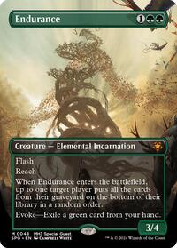 Endurance (Borderless), Special Guests