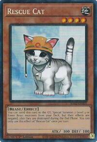 Rescue Cat (PCR)
