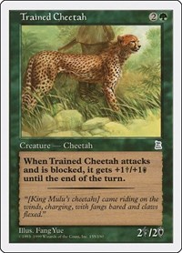 Trained Cheetah, Portal Three Kingdoms