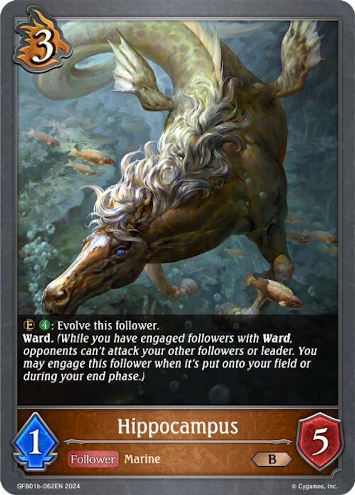 Hippocampus, Standard, front