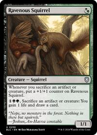 Ravenous Squirrel, Commander: Bloomburrow