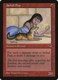 Jackal Pup, Tempest