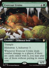 Evercoat Ursine (Extended Art), Commander: Bloomburrow