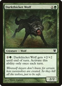 Darkthicket Wolf, Innistrad