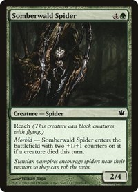Somberwald Spider, Innistrad