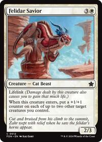 Felidar Savior, Foundations