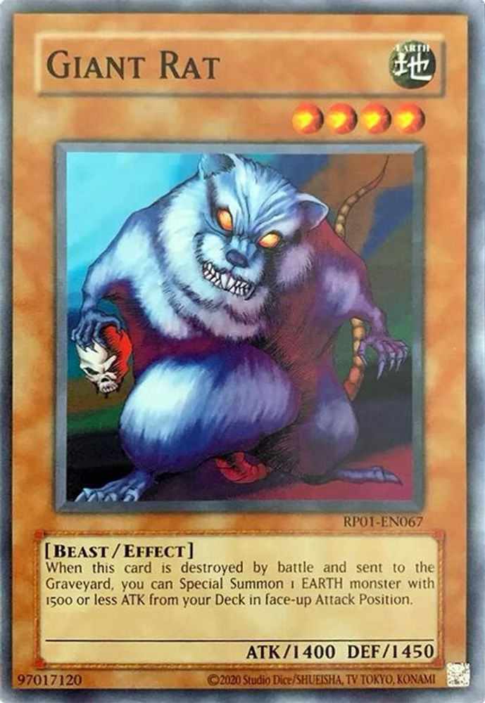 Giant Rat, Unlimited, front