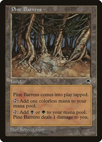 Pine Barrens, Tempest