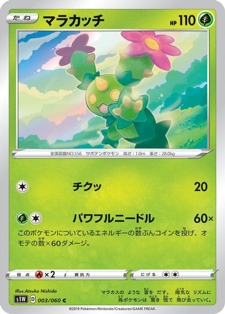 Maractus