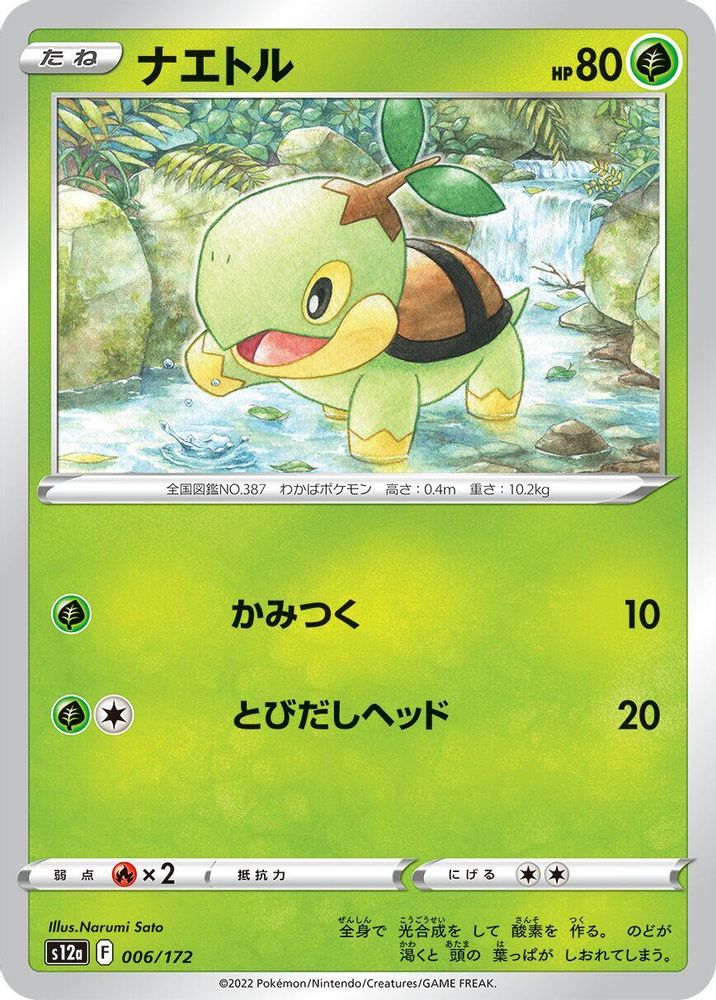 Turtwig
