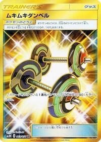 Bodybuilding Dumbbells - 063/051