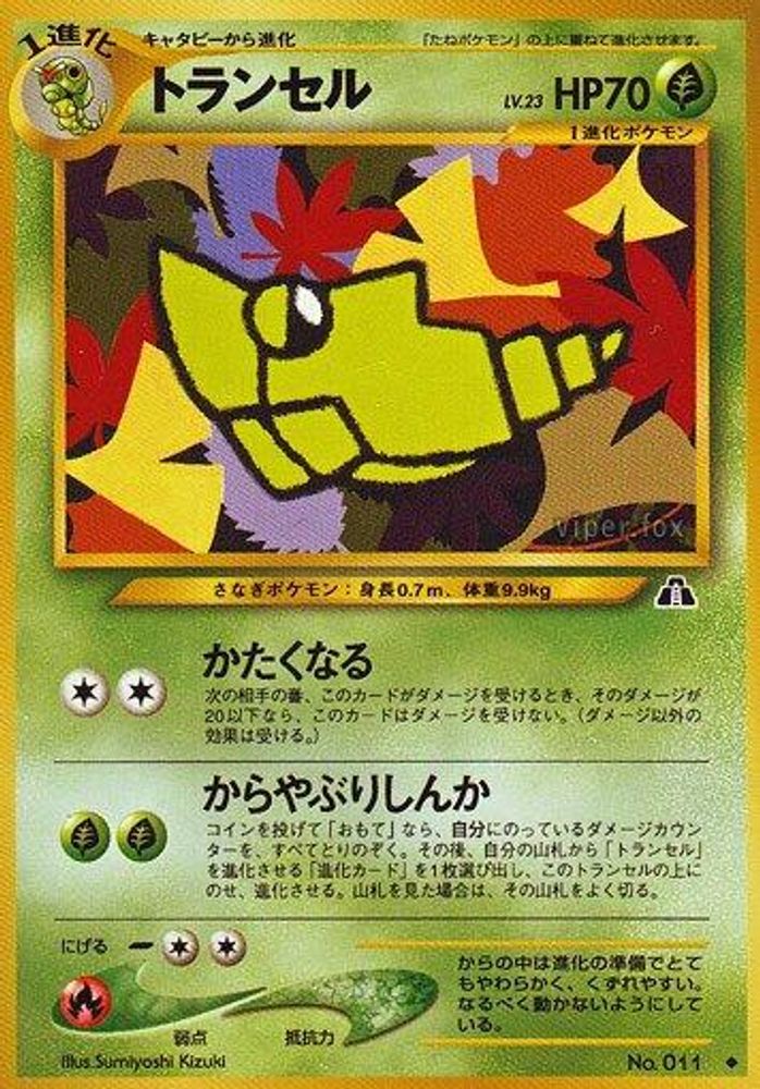 Metapod, Standard, front