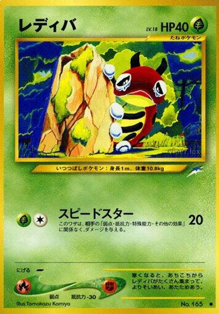 Ledyba, Standard, front