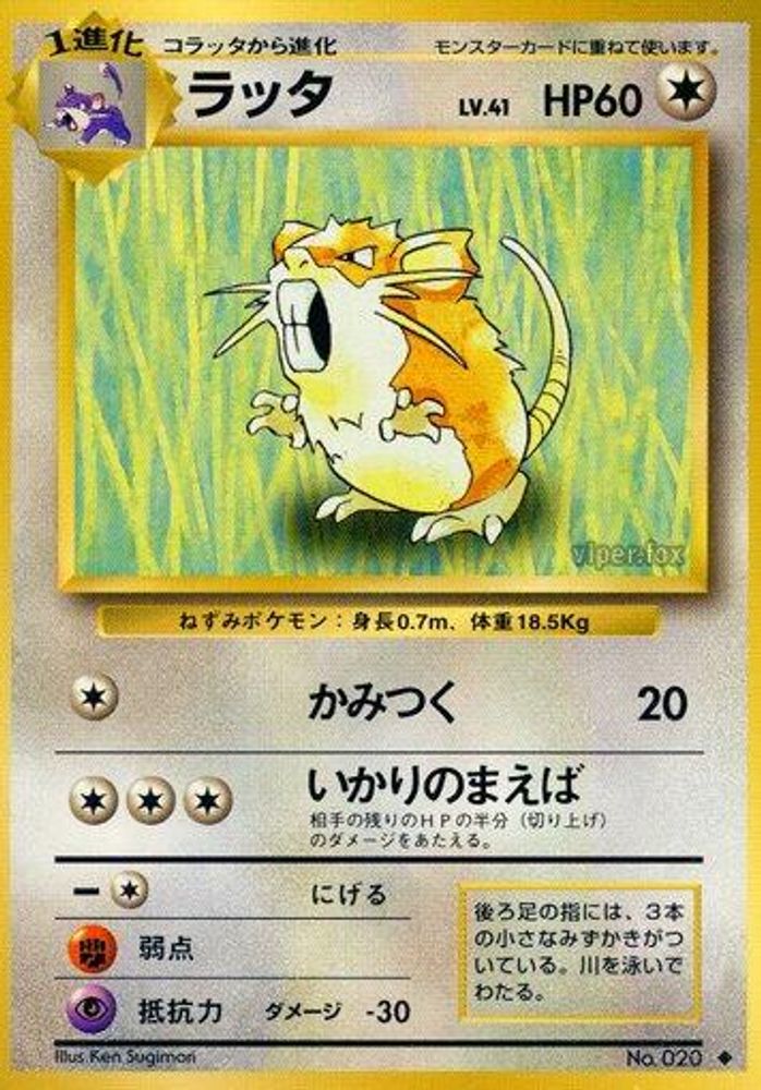 Raticate, Standard, front