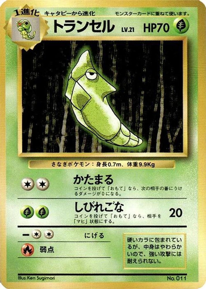 Metapod, Standard, front