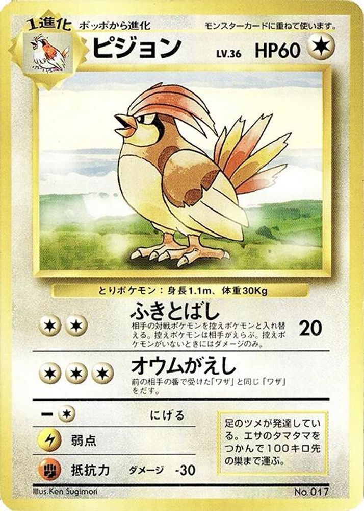 Pidgeotto, Standard, front