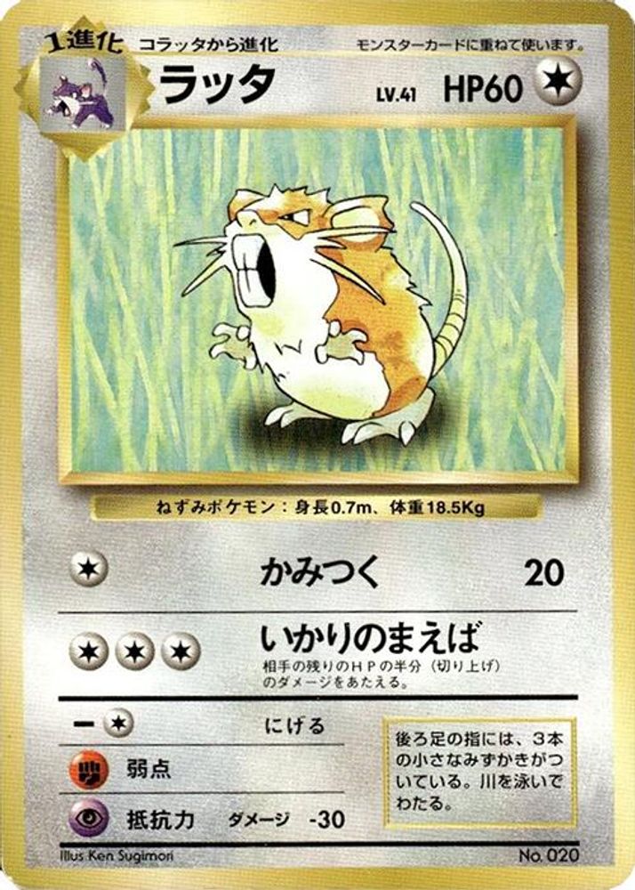 Raticate, Standard, front