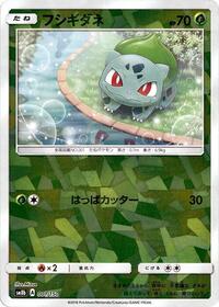 Bulbasaur (Mirror Holofoil)