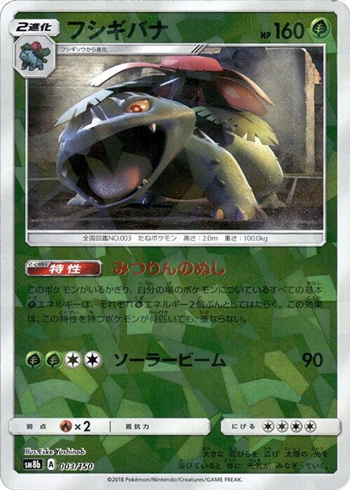 Venusaur (Mirror Holofoil)