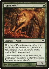 Young Wolf, Dark Ascension