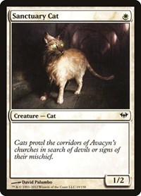 Sanctuary Cat, Dark Ascension