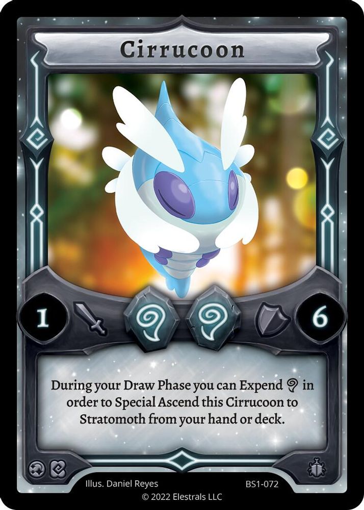 Cirrucoon, Standard, front