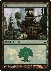 Forest (The Selesnya Conclave), Magic Premiere Shop