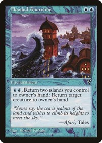 Flooded Shoreline, Visions