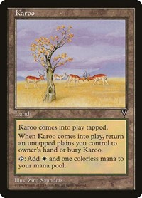 Karoo, Visions