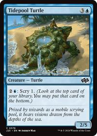 Tidepool Turtle, Foundations Jumpstart