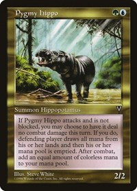 Pygmy Hippo, Visions