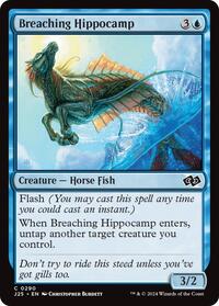 Breaching Hippocamp, Foundations Jumpstart